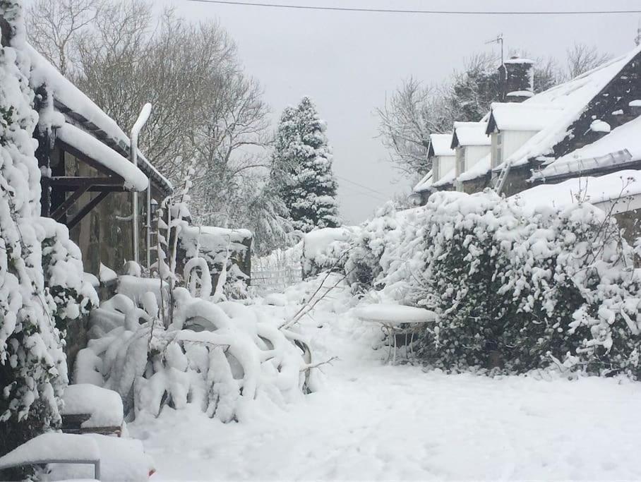 Y Cwtch - Panoramic Mountain Views Within Snowdonia'S National Park - 4X4 Recommended Villa ดอลเกซเซย์ ภายนอก รูปภาพ