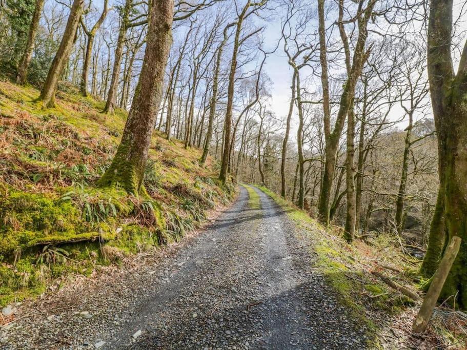 Y Cwtch - Panoramic Mountain Views Within Snowdonia'S National Park - 4X4 Recommended Villa ดอลเกซเซย์ ภายนอก รูปภาพ
