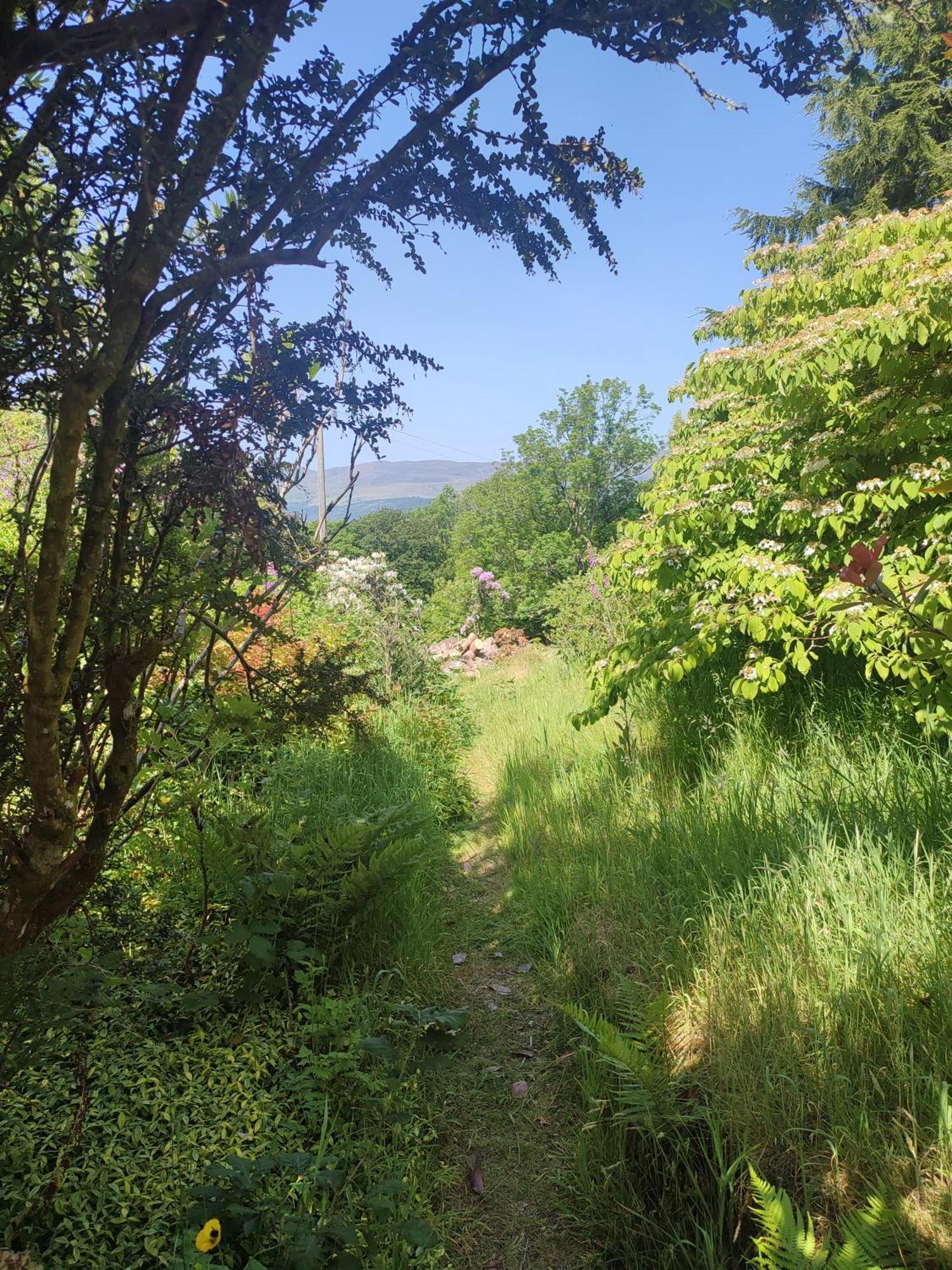 Y Cwtch - Panoramic Mountain Views Within Snowdonia'S National Park - 4X4 Recommended Villa ดอลเกซเซย์ ภายนอก รูปภาพ